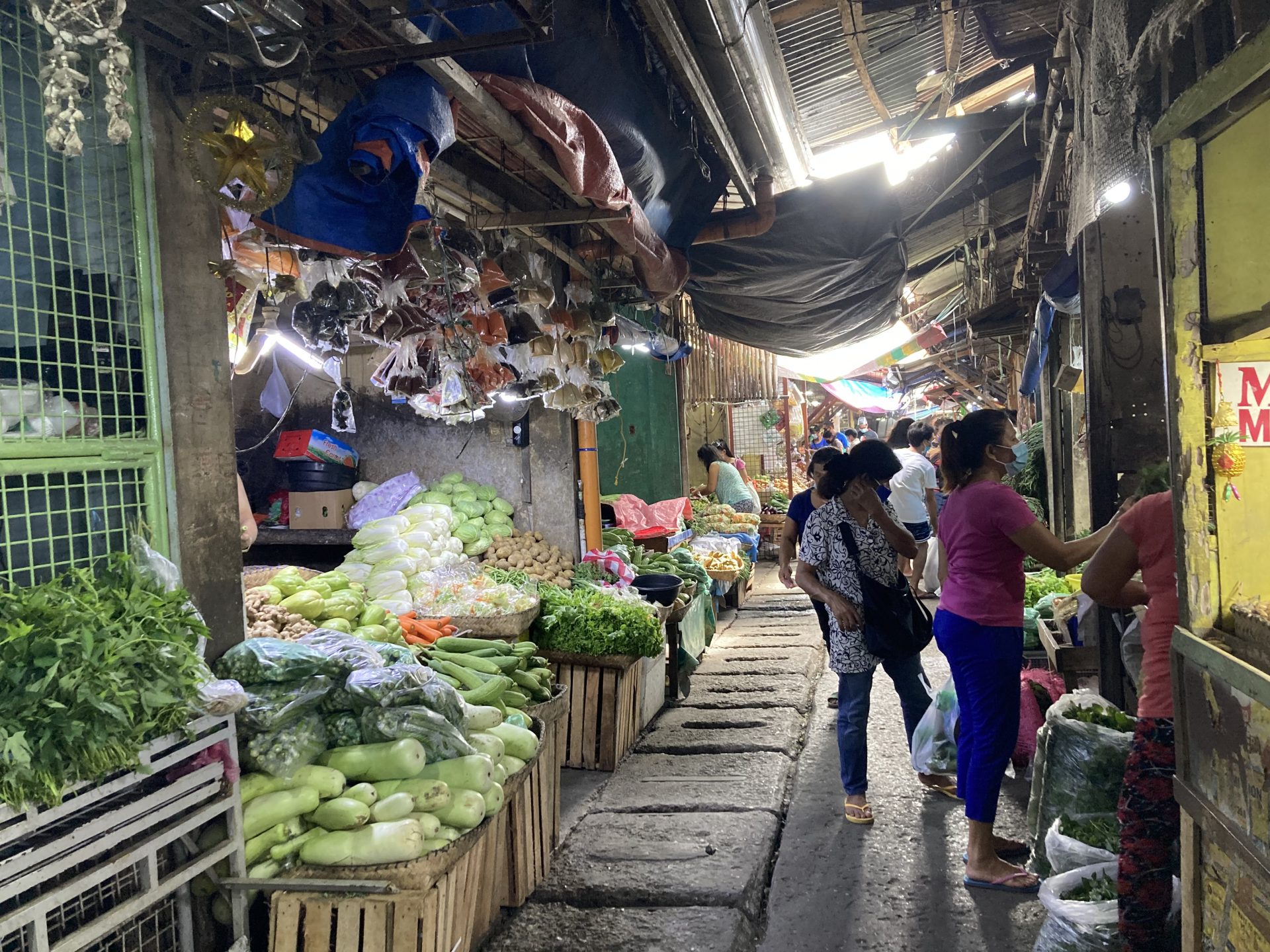 Introducing work in Myanmar, the Philippines and Papua New Guinea